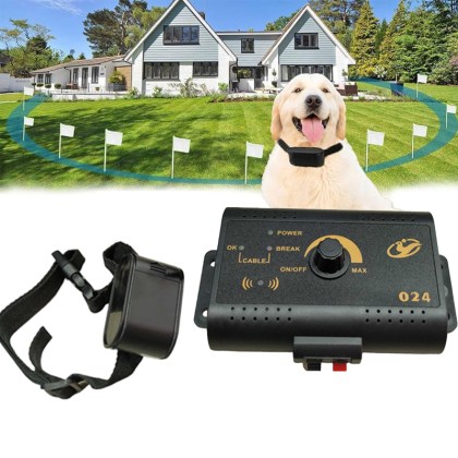 electic collar